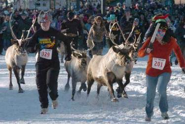 Running of the Reindeer
